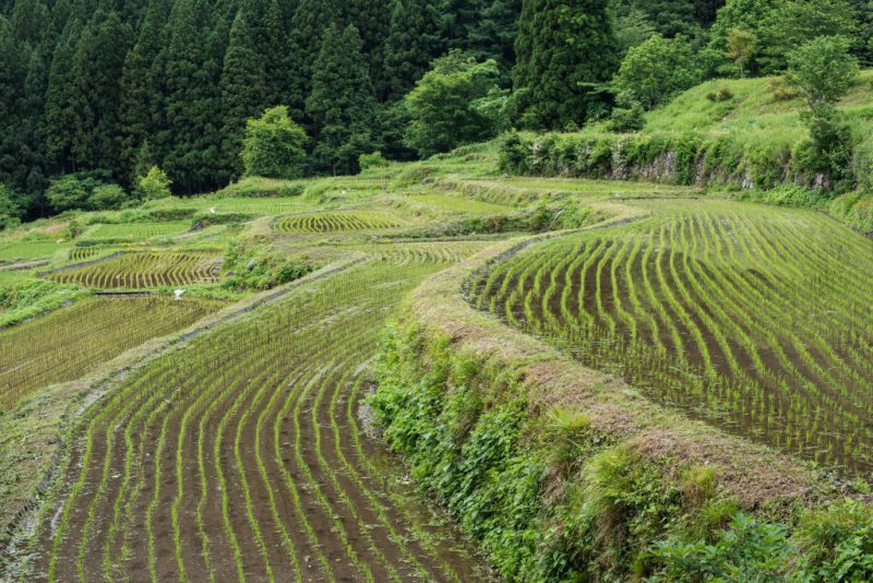 脱サラ農業の候補地、長野県飯山市